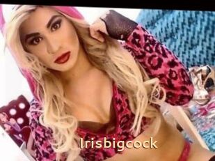 Irisbigcock