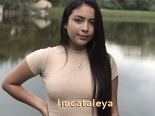 Imcataleya