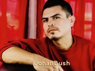 JohanBush
