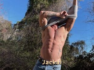 Jackal