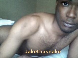 Jake_tha_snake