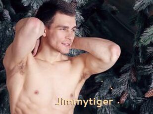 Jimmytiger
