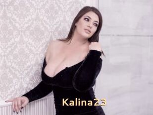 Kalina23