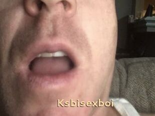 Ksbisexboi