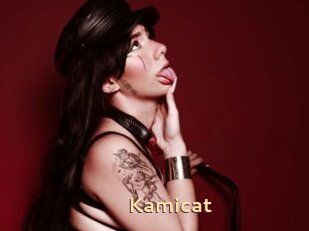 Kamicat