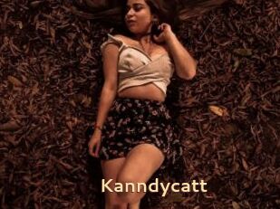 Kanndycatt