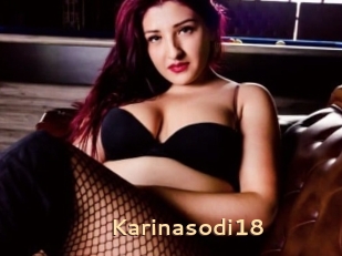 Karinasodi18