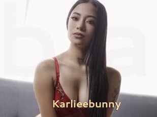 Karlieebunny