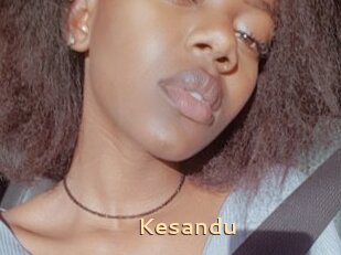 Kesandu