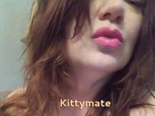 Kittymate