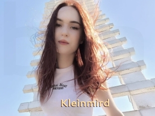 Kleinmird