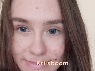 Kriisboom