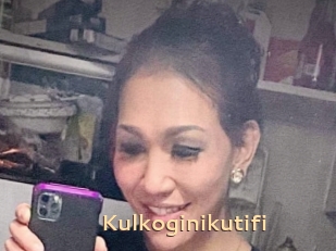 Kulkoginikutifi