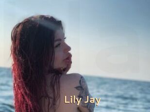 Lily_Jay
