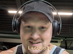 Ladbod36