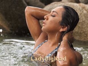 Ladybigload