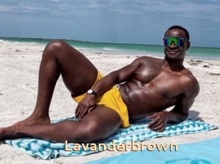 Lavanderbrown