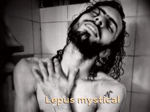 Lepus_mystical