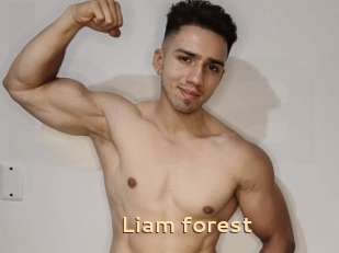 Liam_forest