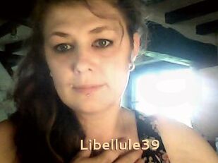 Libellule39