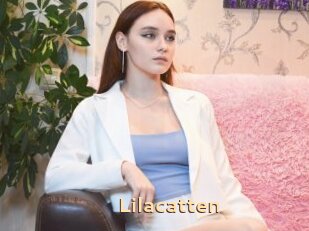 Lilacatten