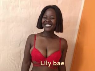 Lily_bae