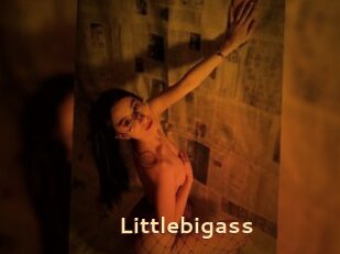 Littlebigass