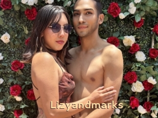 Lizyandmarks