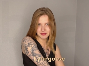 Lynngorse