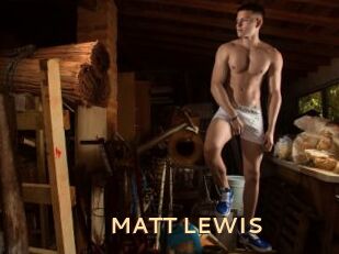 MATT_LEWIS