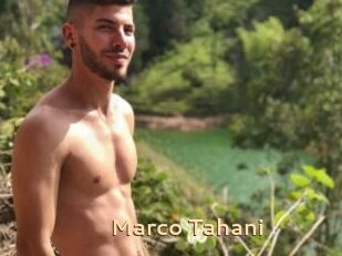 Marco_Tahani