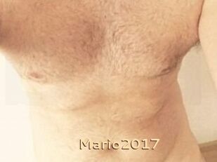 Mario2017