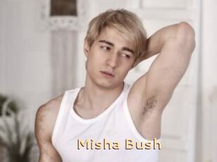 Misha_Bush