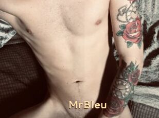 MrBleu