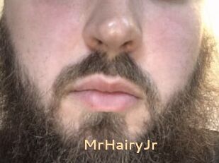 MrHairyJr