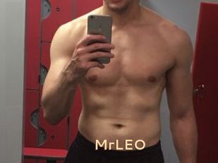 MrLEO