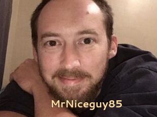 MrNiceguy85