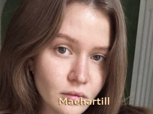 Maehartill