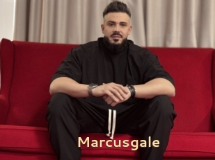 Marcusgale