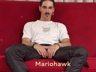 Mariohawk