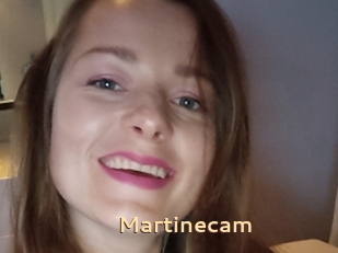 Martinecam