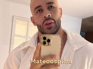 Mateoospiina