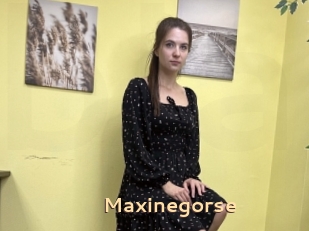 Maxinegorse