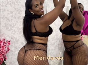 Meridaroa