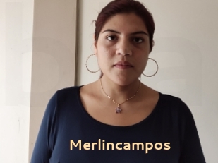 Merlincampos