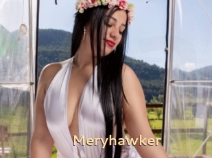 Meryhawker