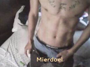 Mierdoel