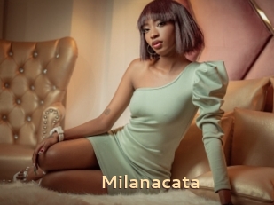 Milanacata