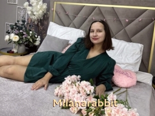 Milanarabbit