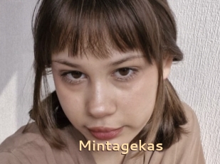 Mintagekas